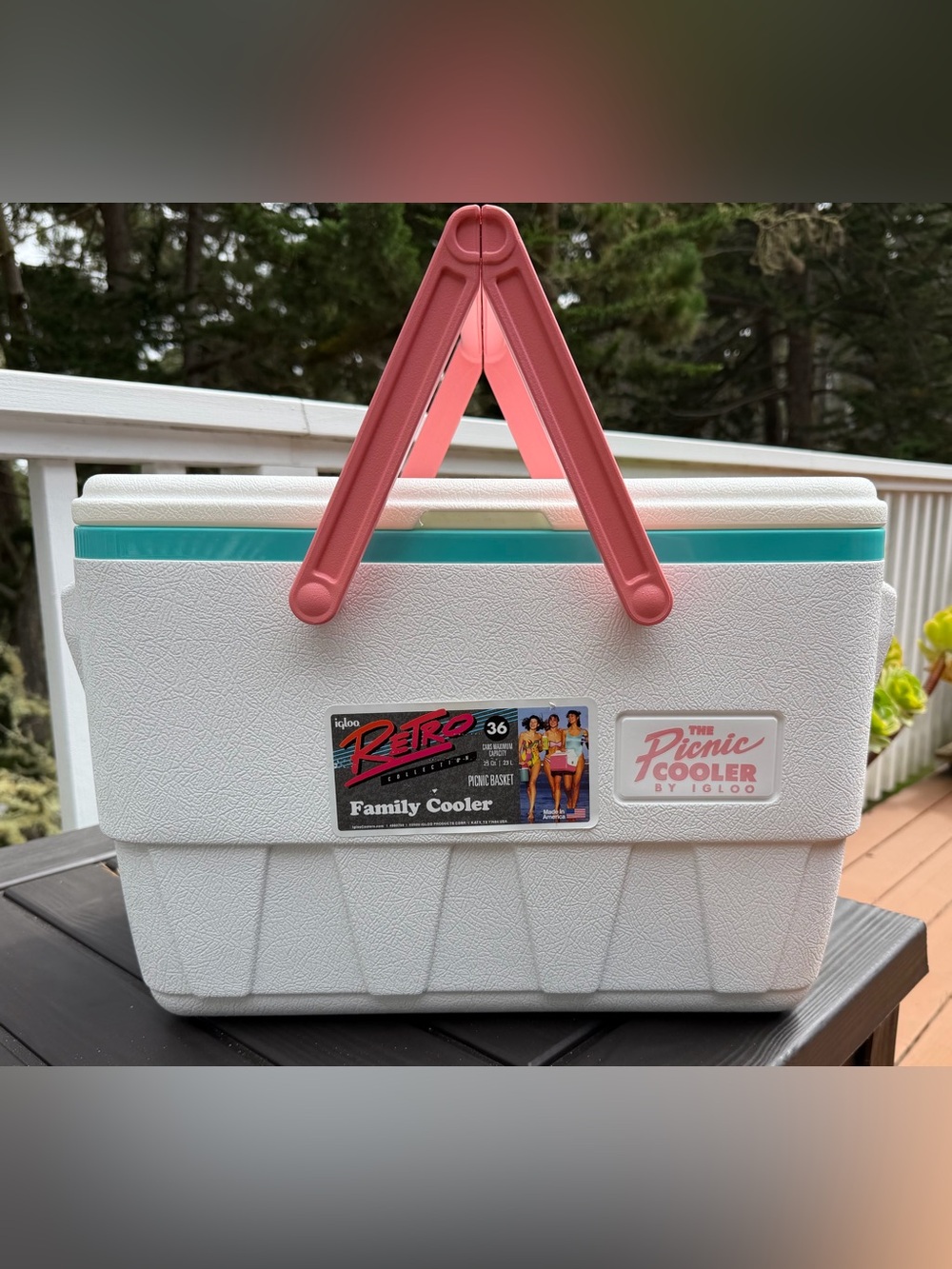 Igloo Retro Family Cooler in White with Pink Handles and Teal Stripe